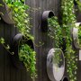 Pottery Pots Natural Wally hangende plantenbak zwart
